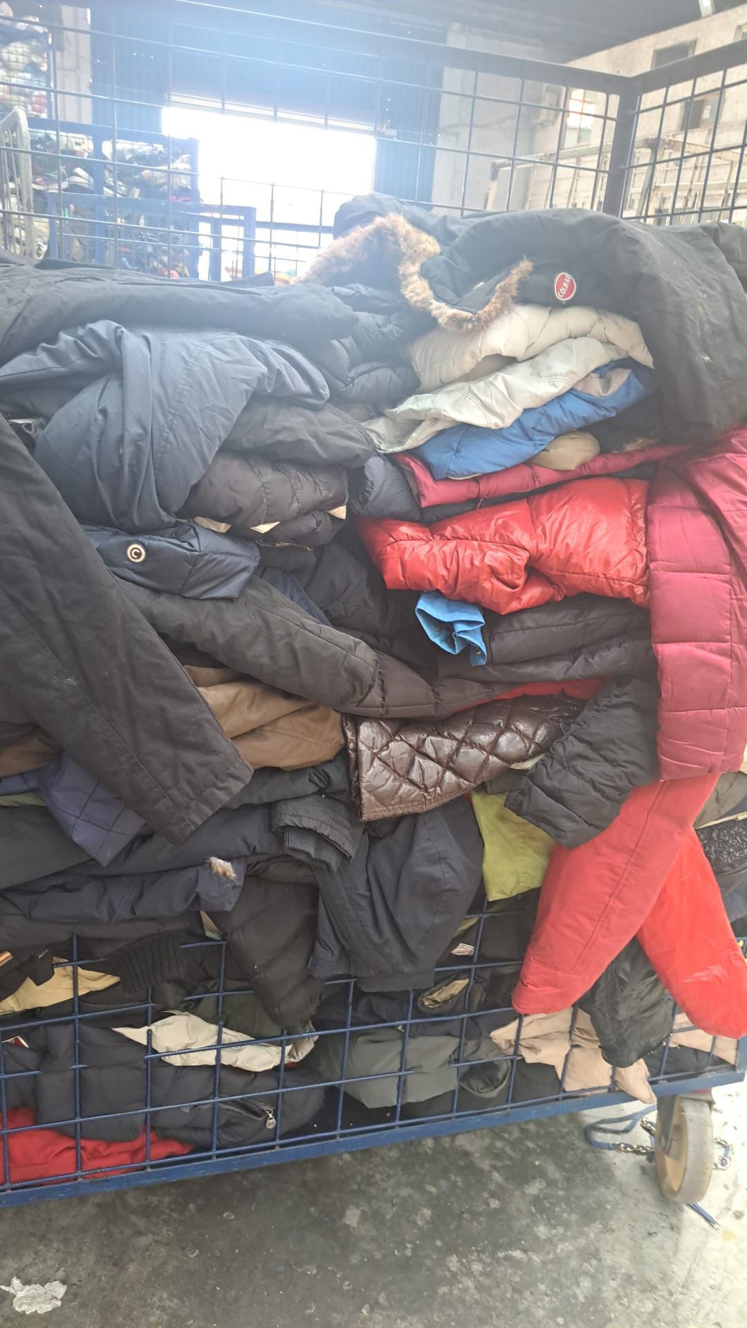 Box 50 KG Giubbotti firmati